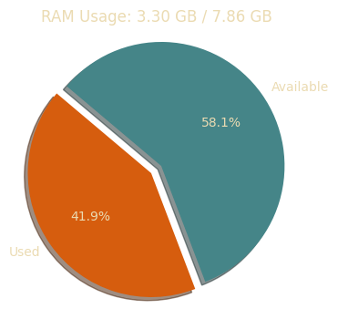 RAM Usage