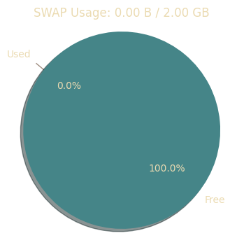 SWAP Usage